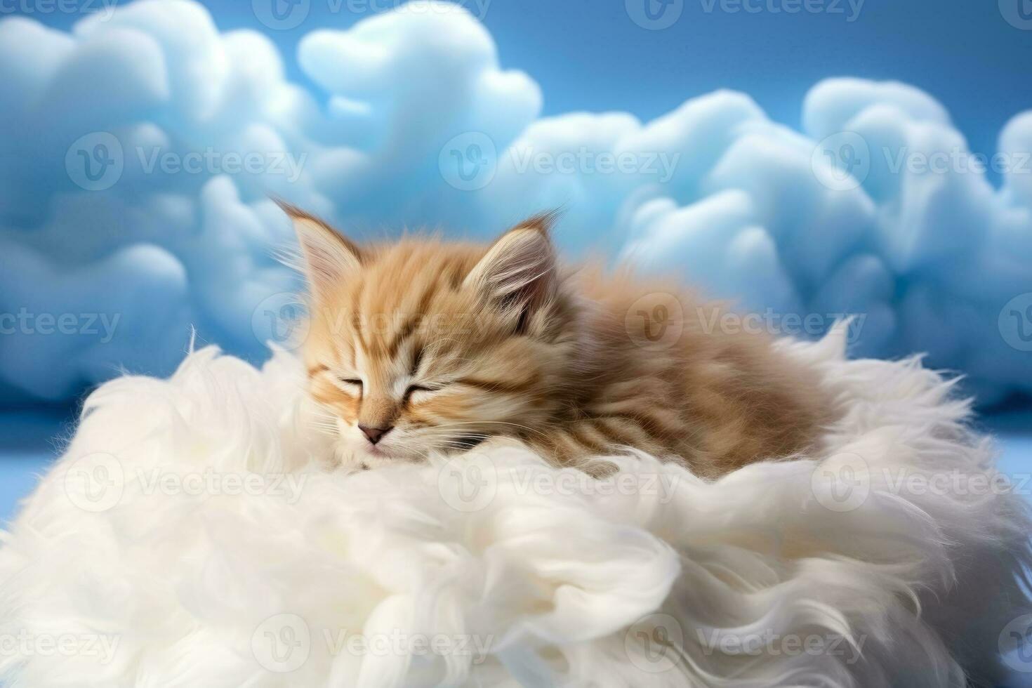uma adormecido gatinho enrolado em uma nuvem travesseiro isolado em uma branco fundo foto