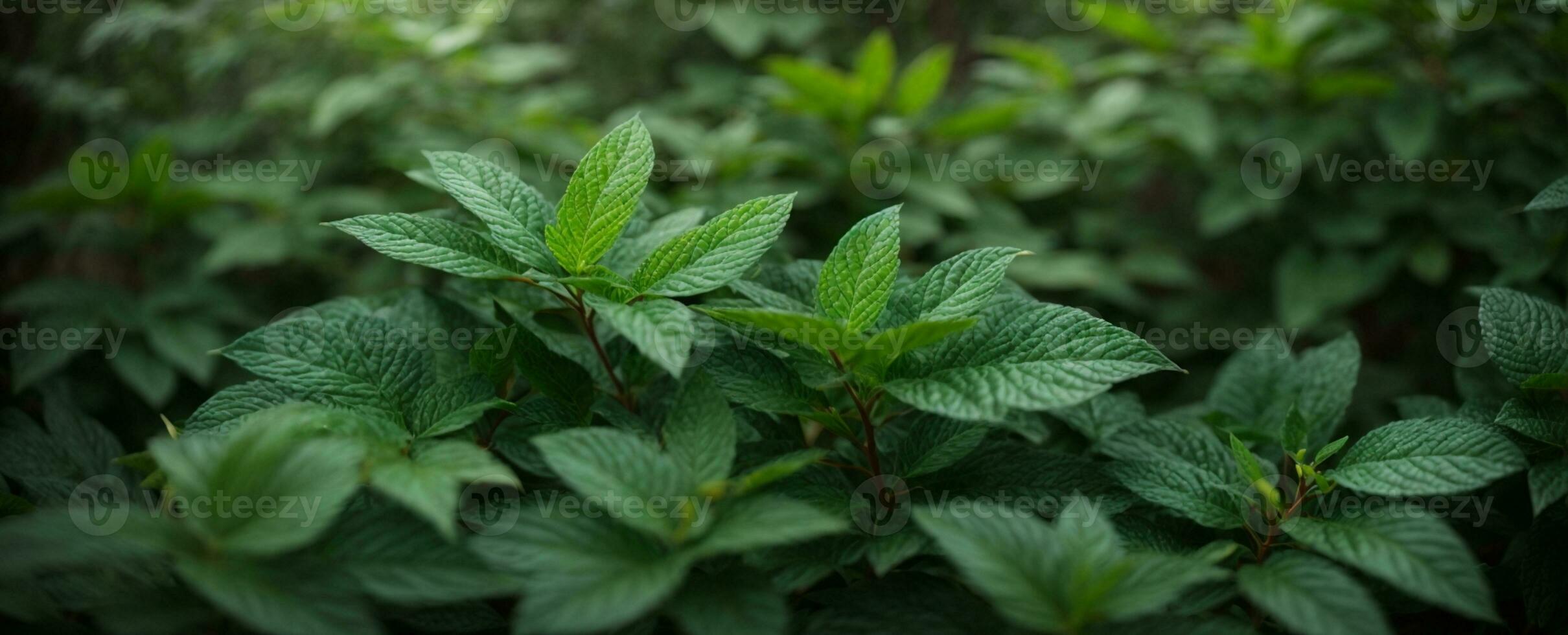 verde folhagem textura. ai gerado foto