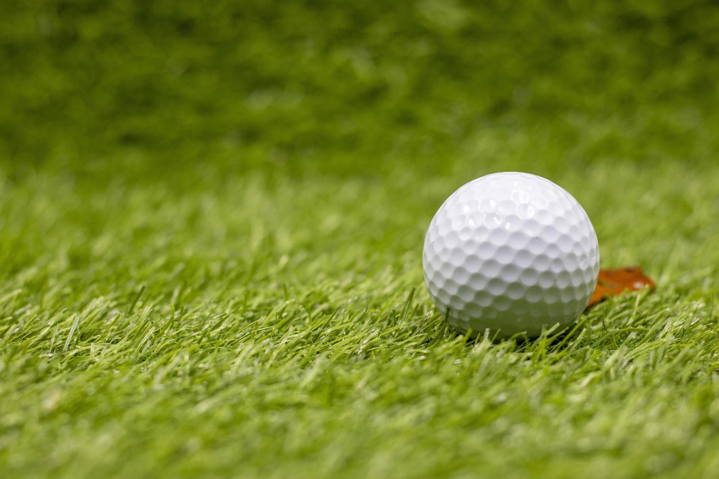a bola de golfe está na grama verde com marcador foto