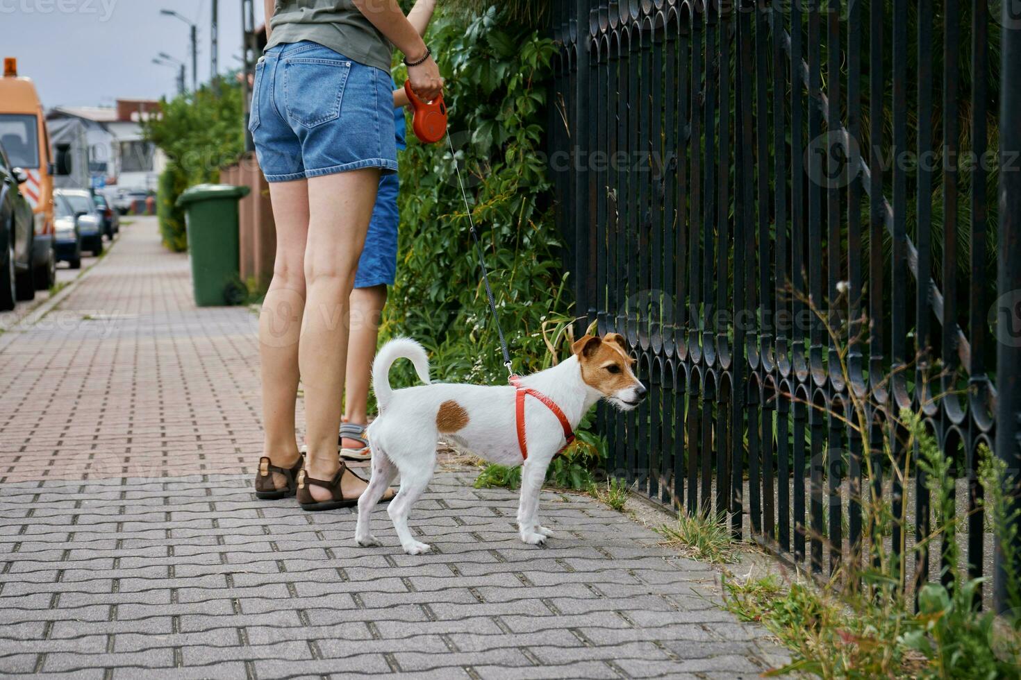 mulher caminhando às cidade rua com cachorro foto