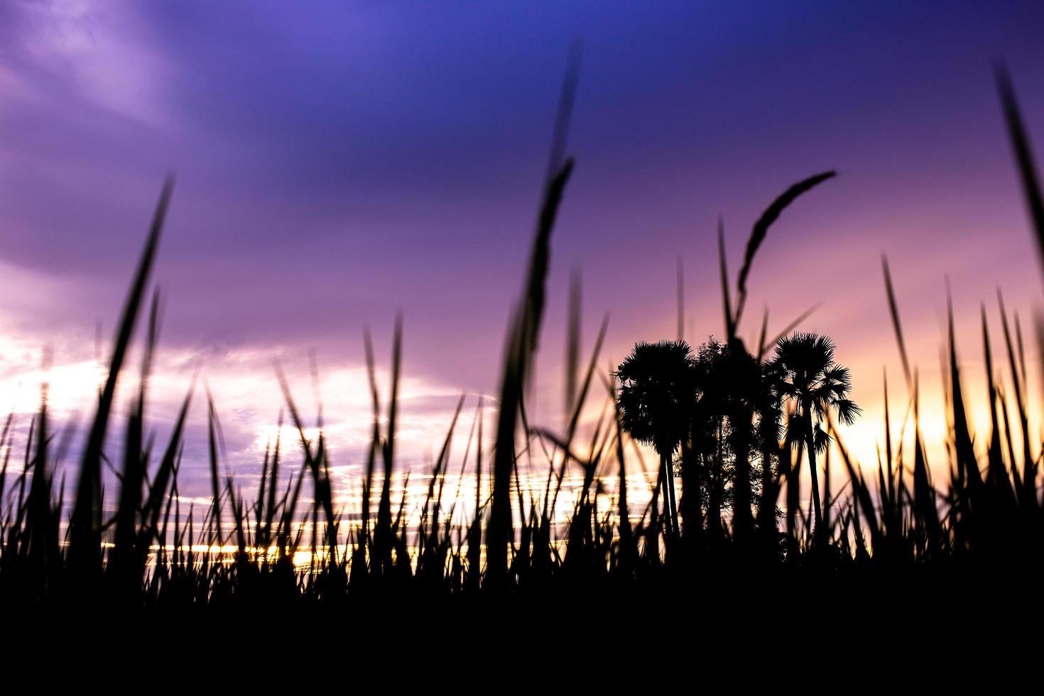 céu dramático colorido com nuvem ao pôr do sol. foto