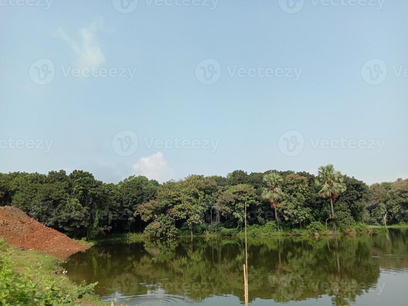 bela vista da vila com a natureza foto