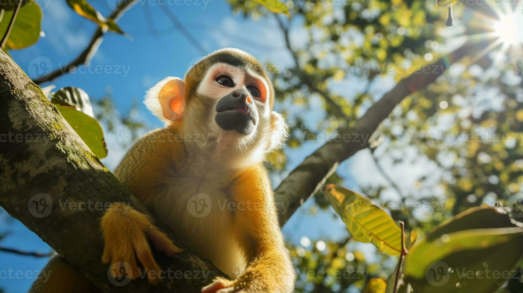 foto do esquilo macaco dentro ther floresta com azul céu. generativo ai