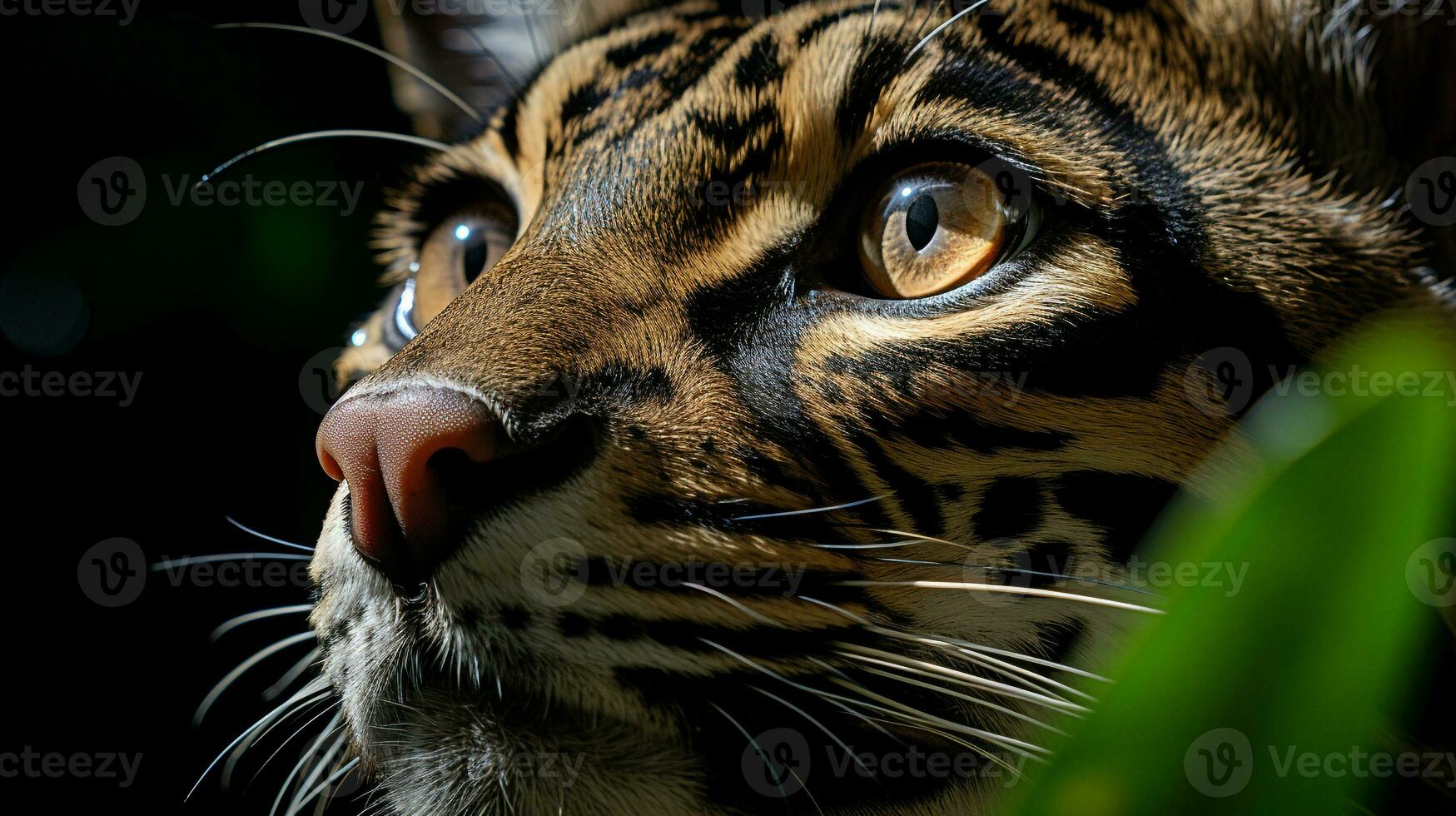 fechar-se foto do uma Jaguatirica olhando qualquer direção em selva. generativo ai