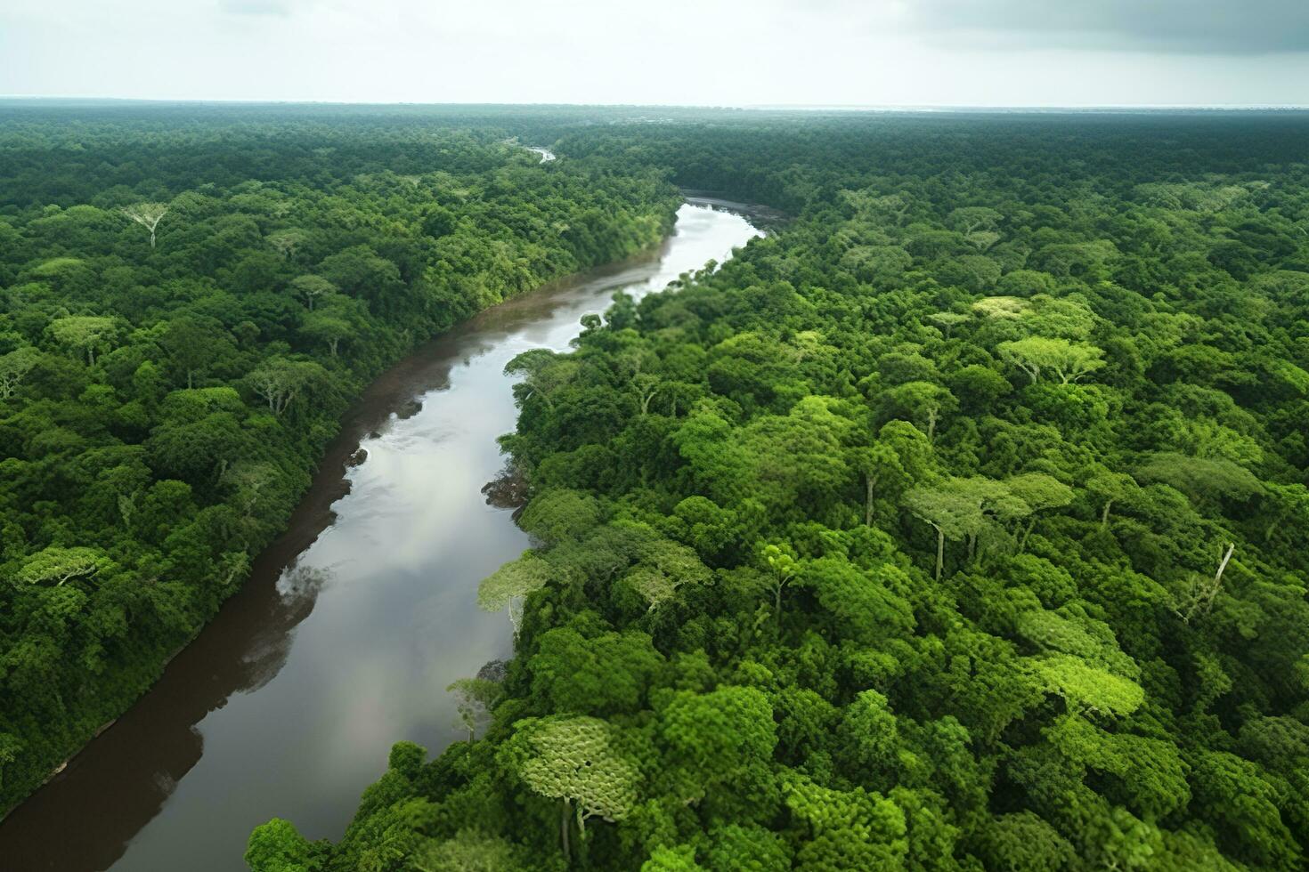 aéreo Visão do a amazonas selva panorama com rio dobrar. generativo ai foto