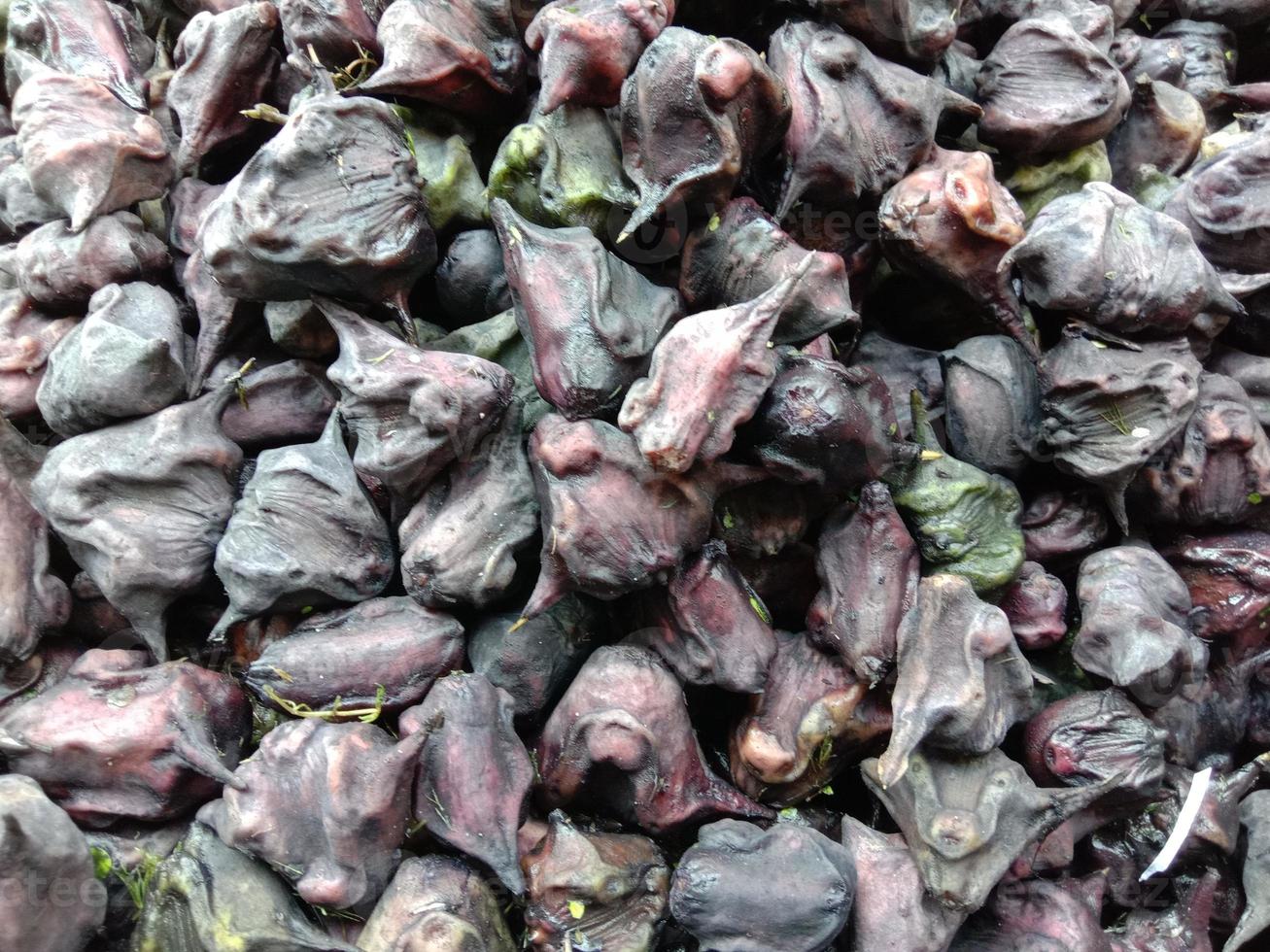 caldo de castanha de água saborosa e saudável foto