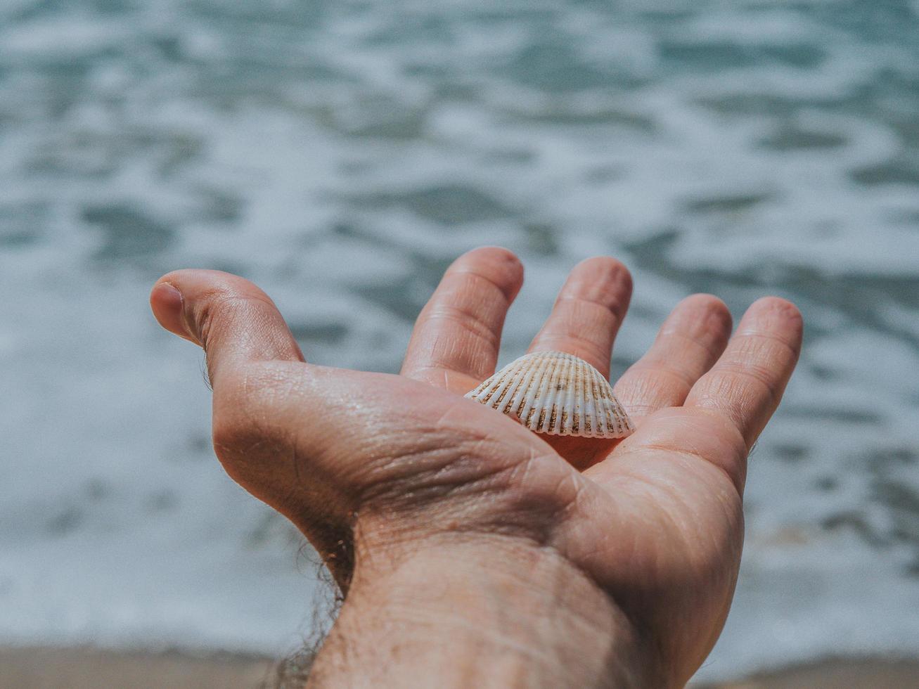 concha branca na mão masculina em um fundo de mar foto