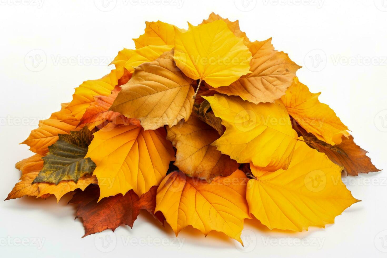 outono folhas amontoar em branco fundo isolado e puro foto