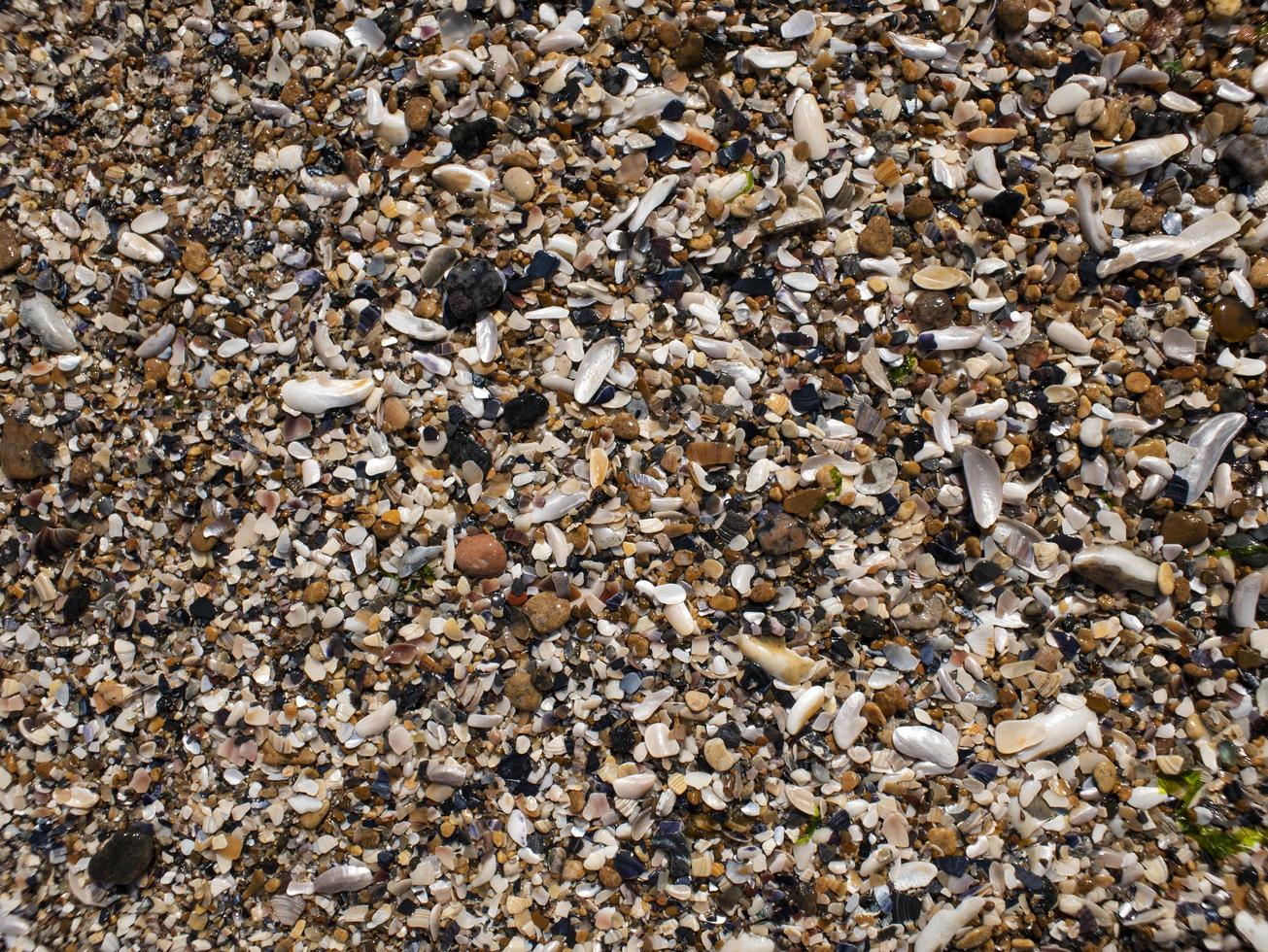 seixos, conchas e areia do mar. textura. o fundo foto