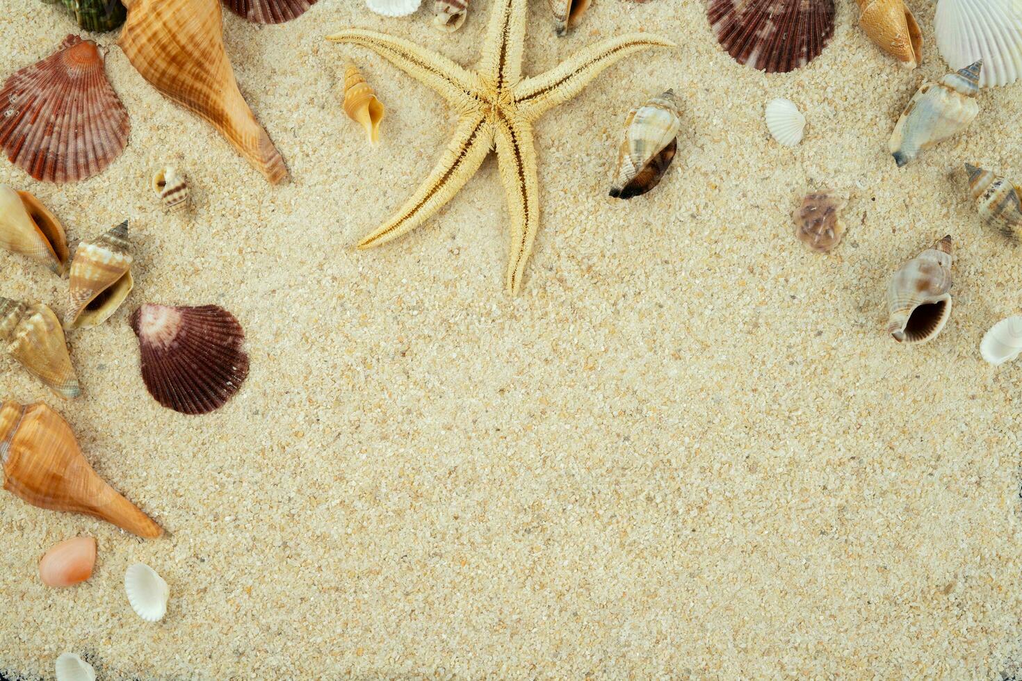 verão de praia quadro, Armação cópia de espaço foto