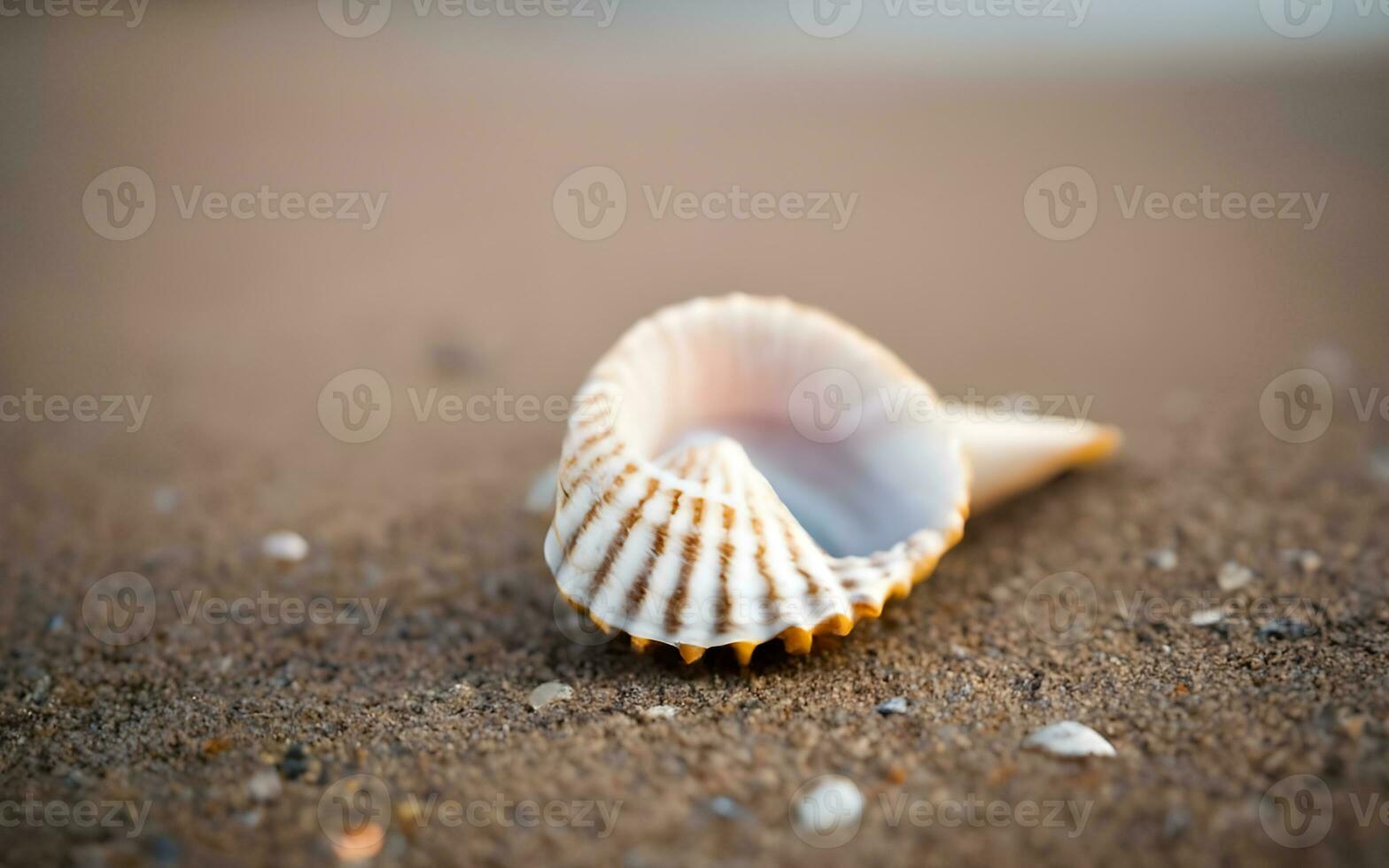 Concha do mar segredos revelado, uma hipnotizante exploração do a intrincado texturas encontrado em a de praia. ai gerado foto