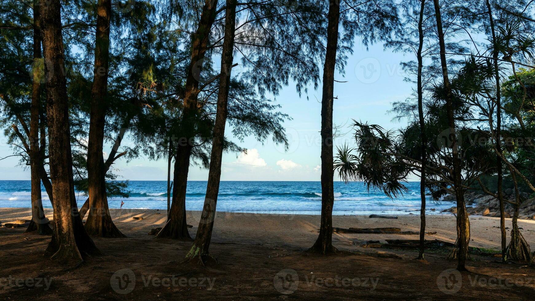 calma Lugar, colocar com pinho árvores por aí do nai thon praia, phuket, tailândia. foto