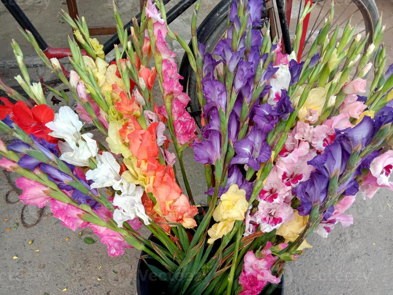 estoque de flores de várias cores no vaso foto