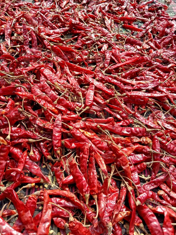 caldo de pimenta vermelha quente e picante foto