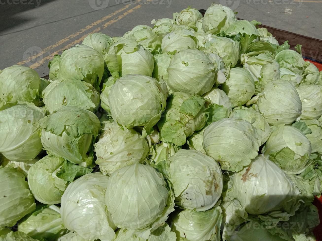 estoque de repolho verde fresco e saudável na loja foto