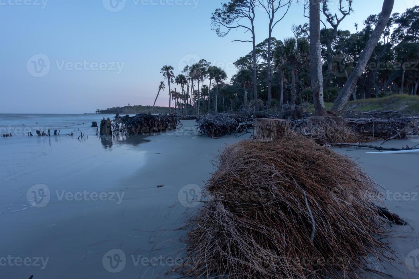 cenas em torno da ilha de caça da Carolina do Sul no verão foto