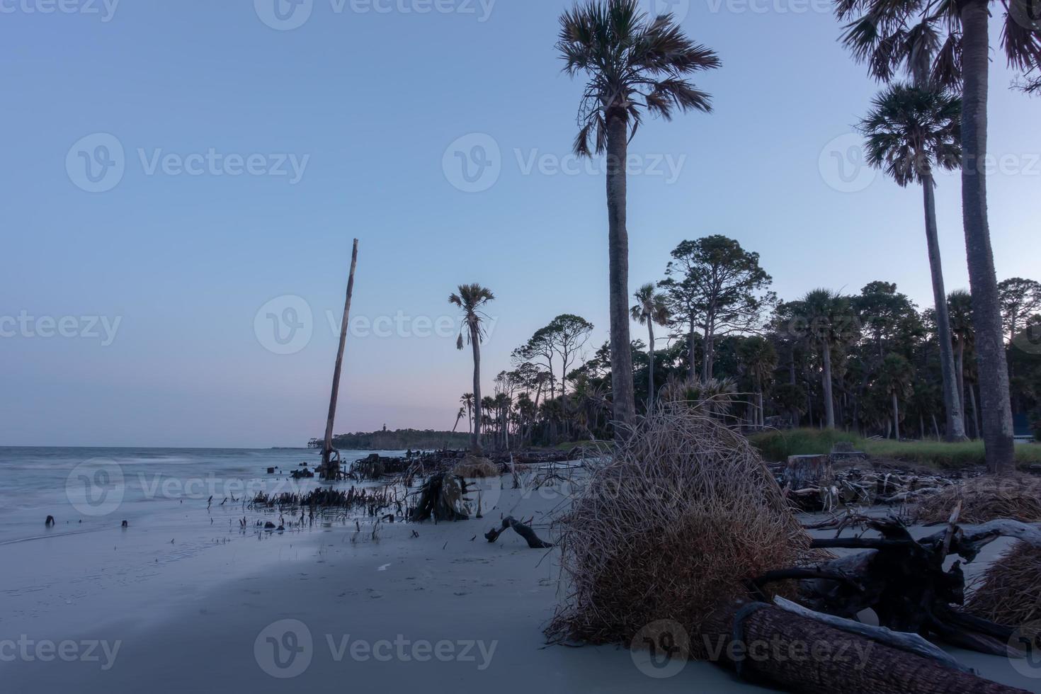 cenas em torno da ilha de caça da Carolina do Sul no verão foto