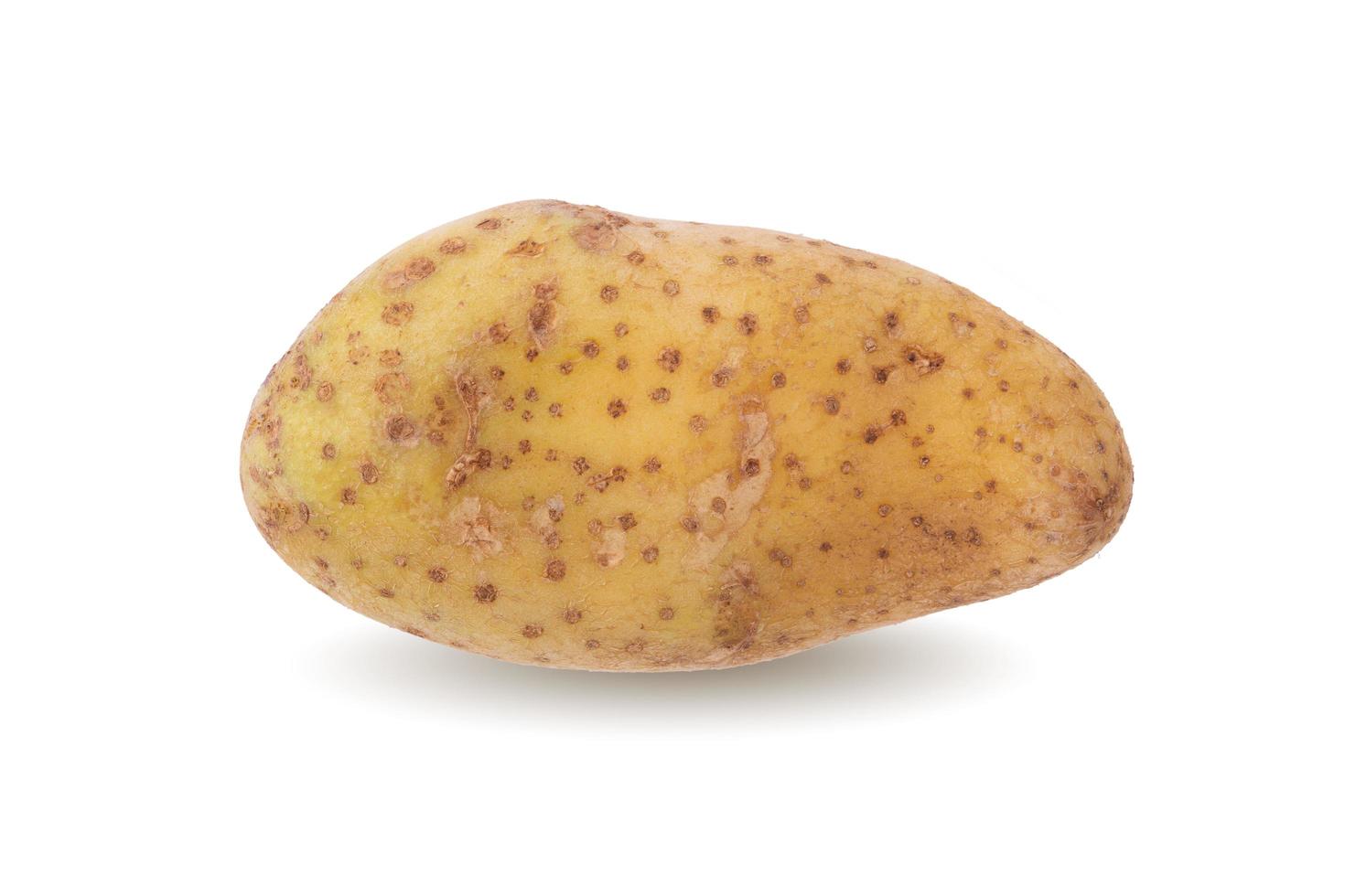 batatas frescas cruas isoladas em um fundo branco foto