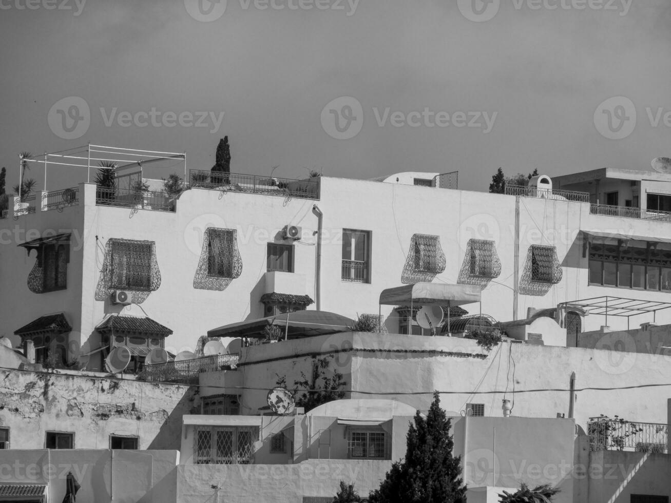 a velho cidade do tunis foto