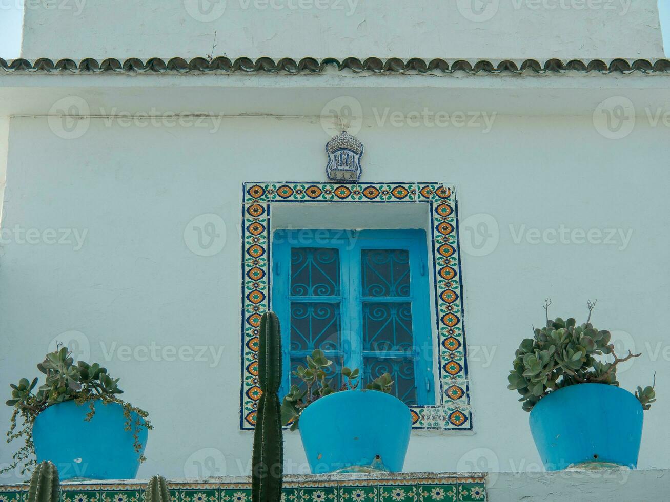 a cidade de tunis foto