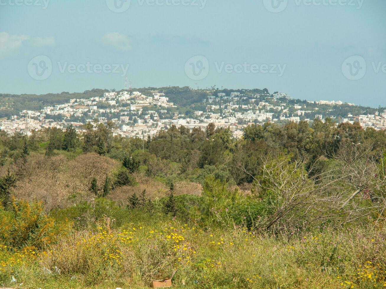 a cidade de tunis foto