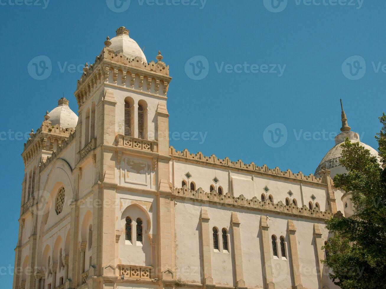 a cidade do tunis dentro África foto