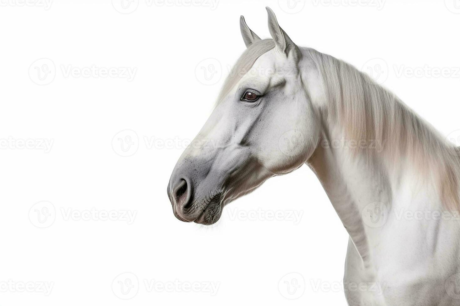 cavalo isolar em branco background.generative ai. foto