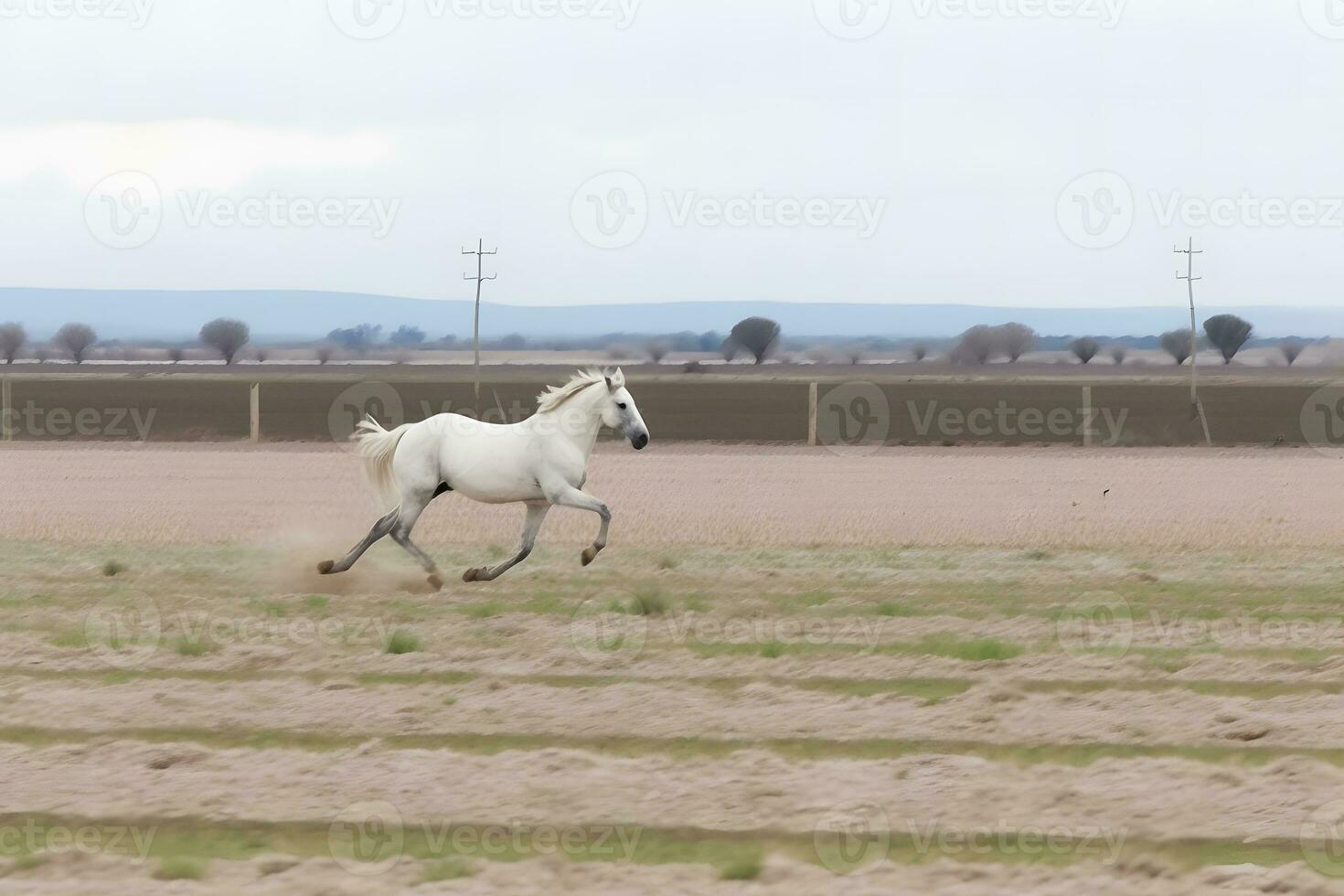 jovem Castanho cavalo galopando, pulando em a campo em uma neutro fundo. neural rede ai gerado foto
