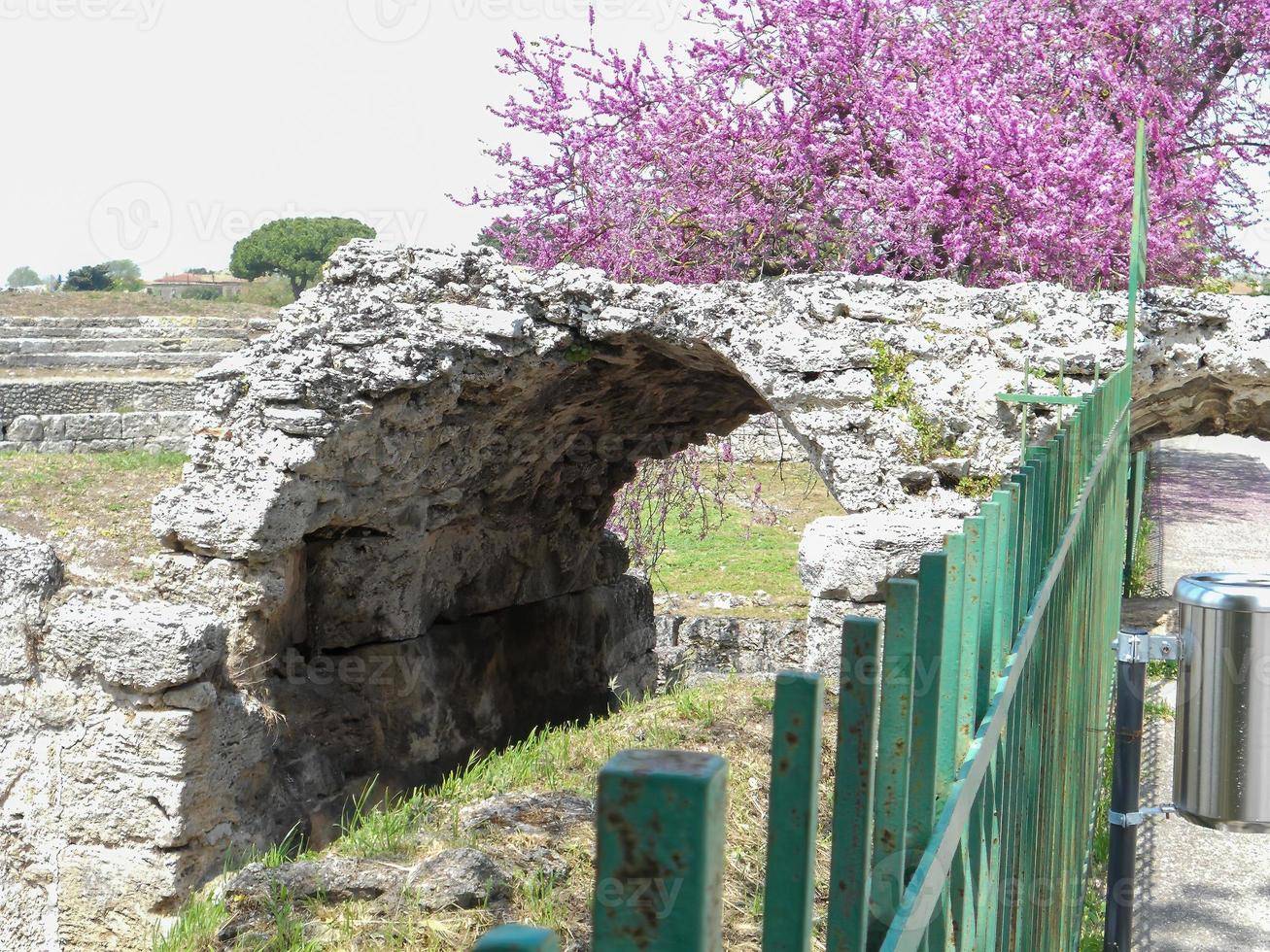 escavações arqueológicas de paestum nápoles foto