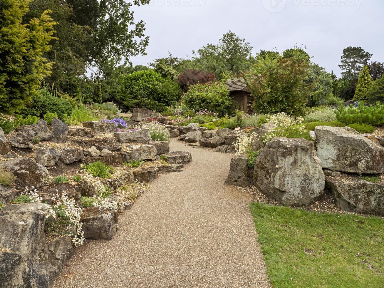 caminho através de um jardim de pedras com plantas e árvores foto