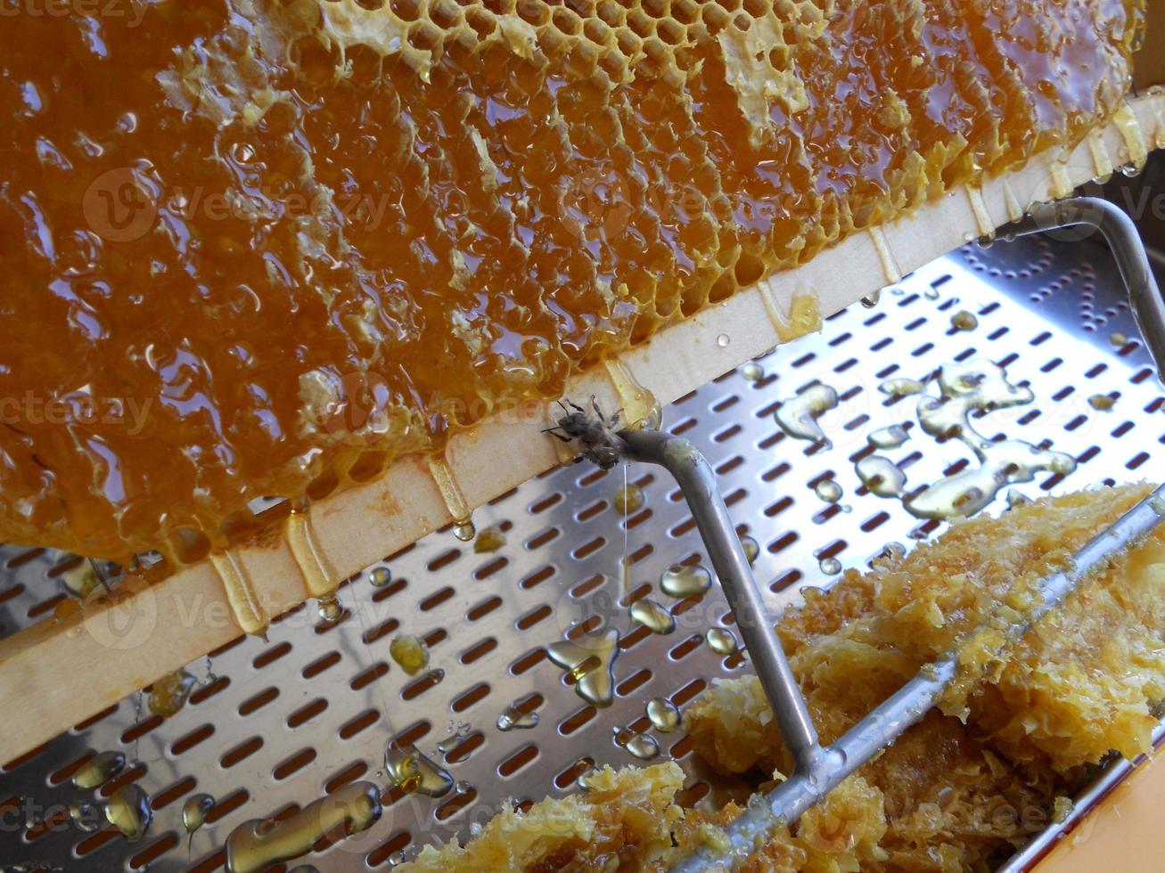 textura de hexágono de fundo, favo de mel de cera de uma colmeia de abelhas foto