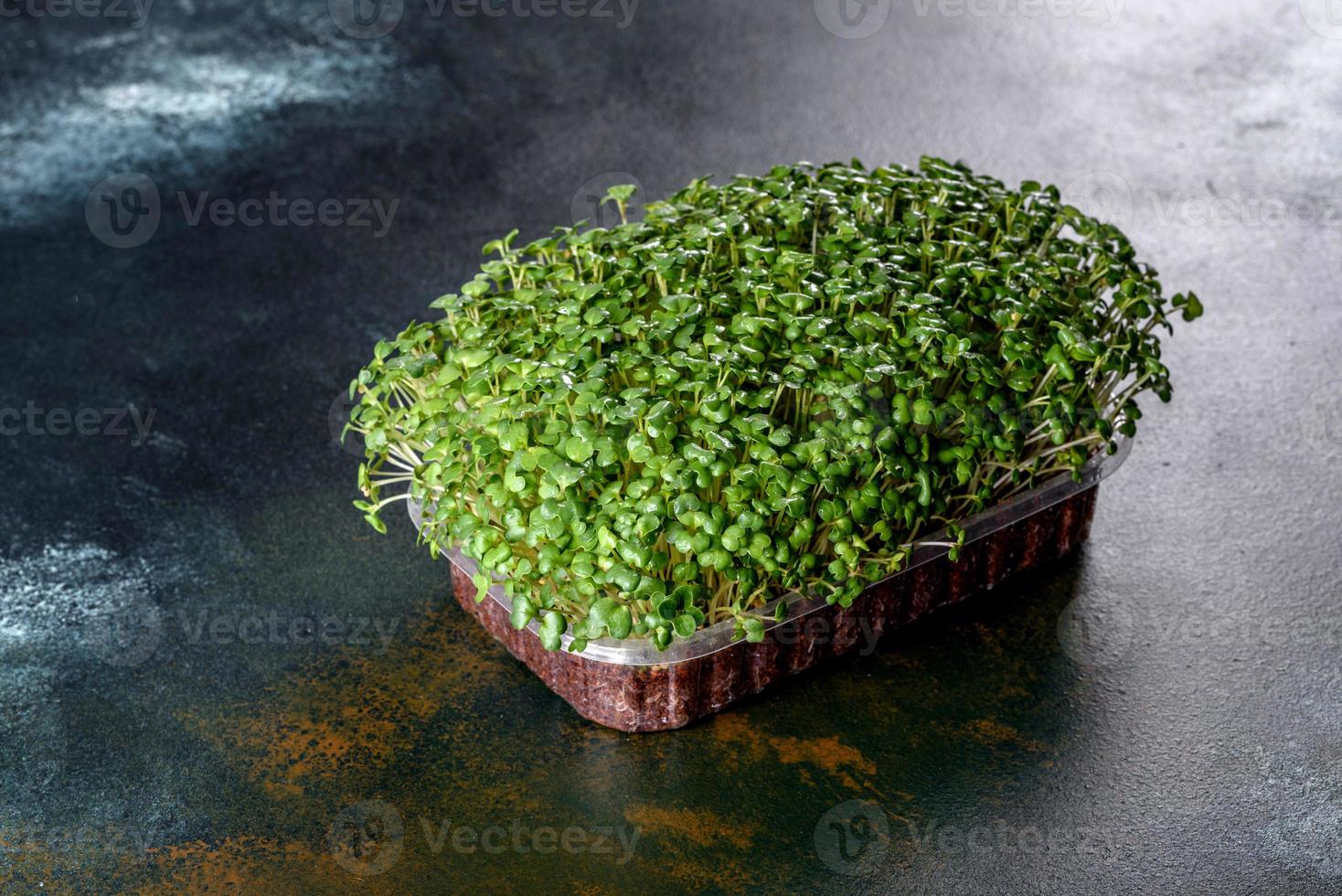 caixa com brotos frescos de micro-rabanetes verdes para adicionar alimentos saudáveis aos pratos foto