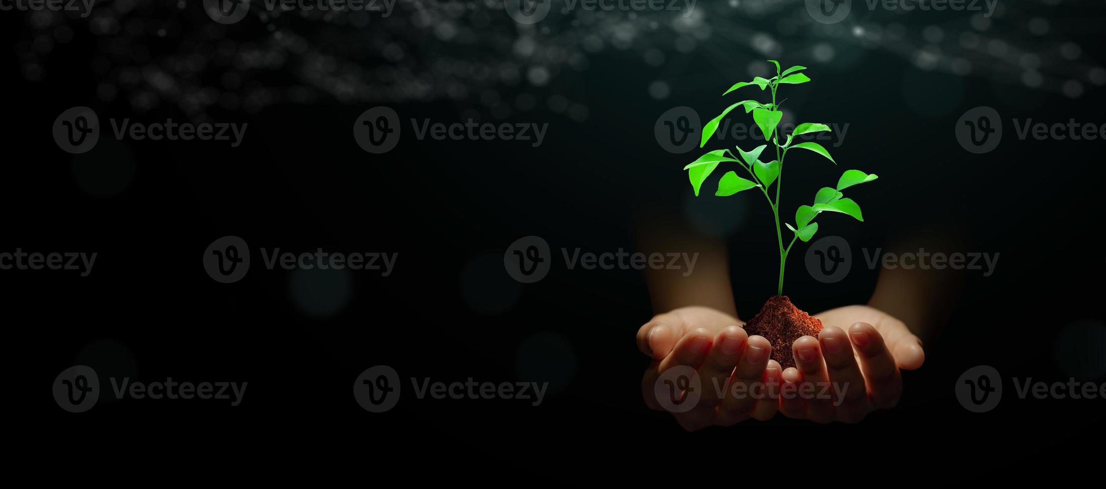 mão segurando uma planta jovem com solo em fundo verde abstrato com tecnologia wireframe foto