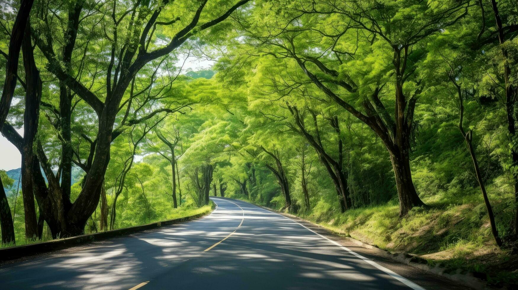 caminho caminho através a outonal floresta natural caminho, estrada para a tropical floresta campo, relaxante com ecológico ambiente, liberdade estilo de vida conceito, generativo ai ilustração foto