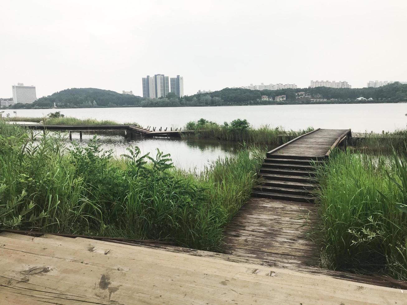 o cais de madeira coberto de juncos no lago de Sokcho City, Coreia do Sul foto