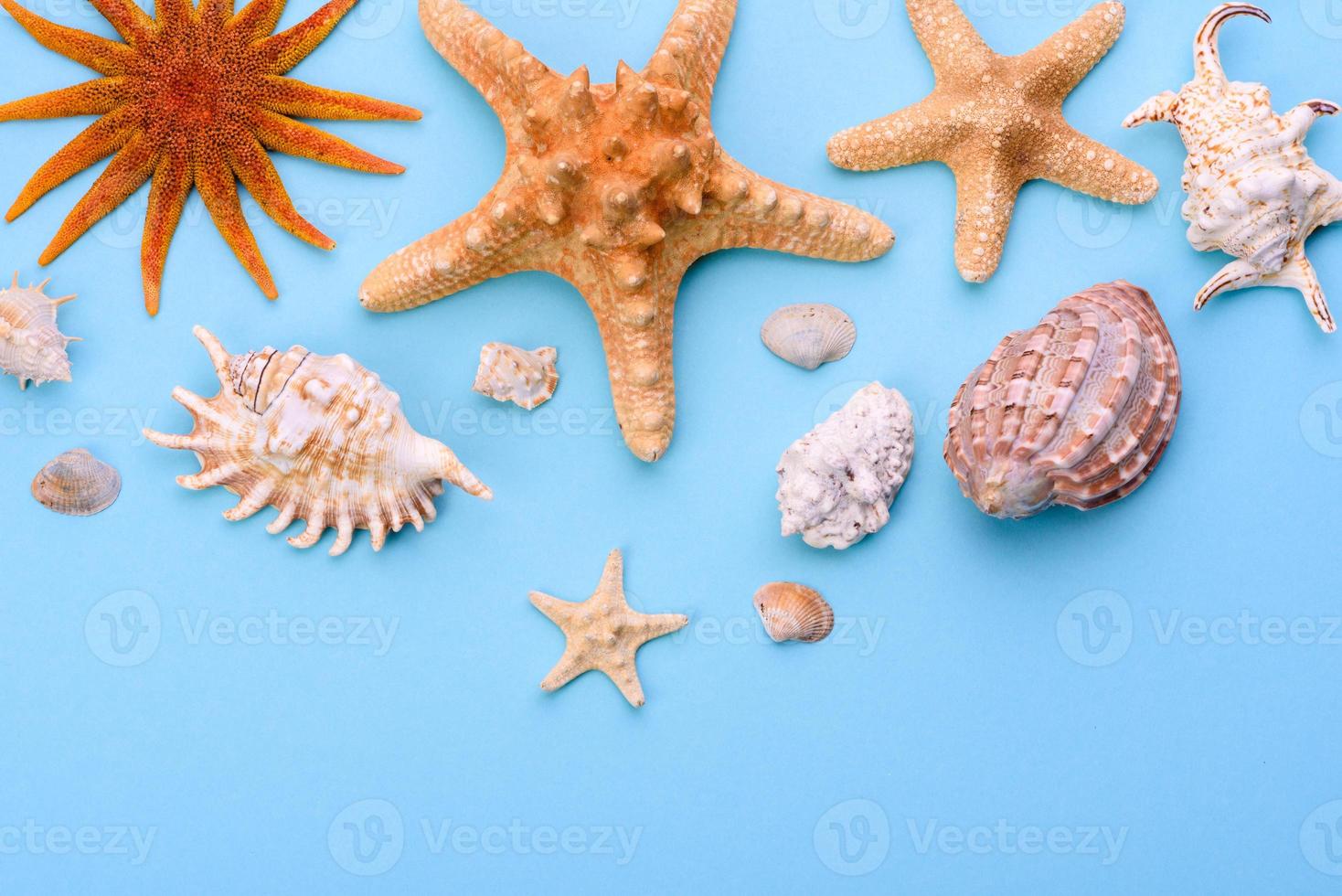 óculos e chapéu com conchas e estrelas do mar em um fundo colorido foto