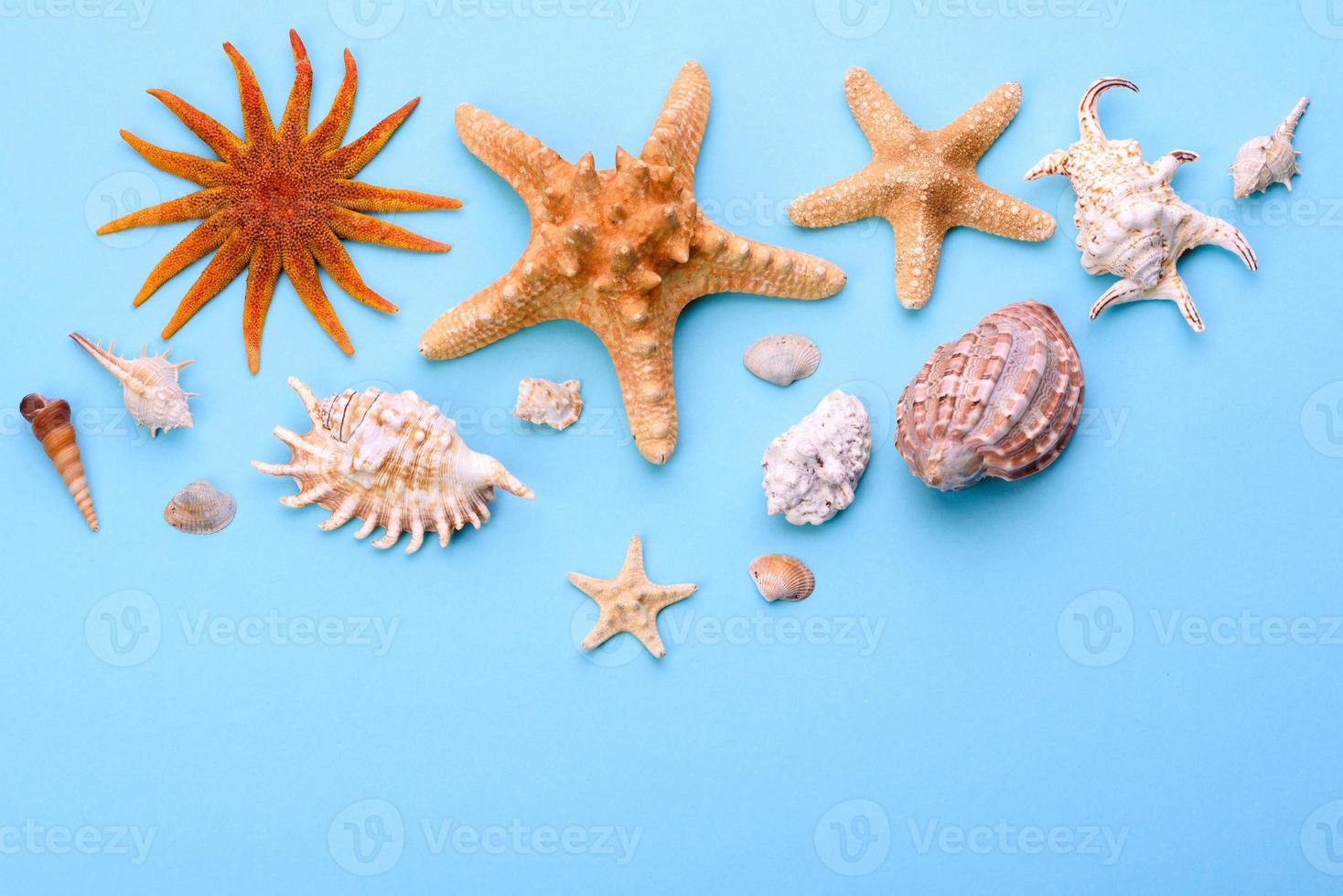 óculos e chapéu com conchas e estrelas do mar em um fundo colorido foto