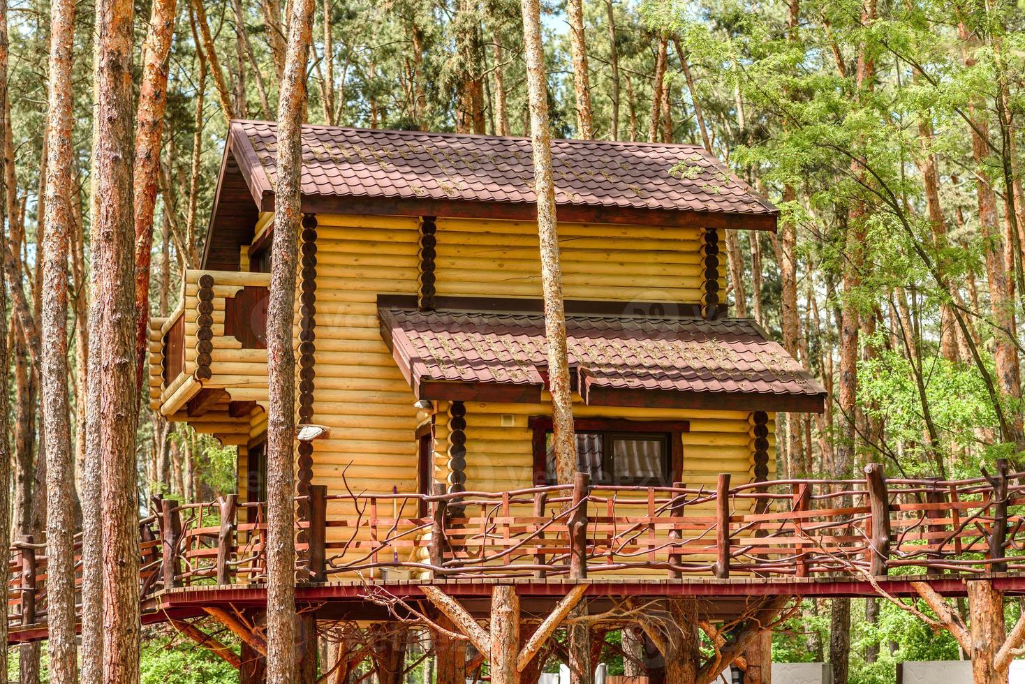 aluguel por temporada chalé na floresta cabana à beira do lago foto