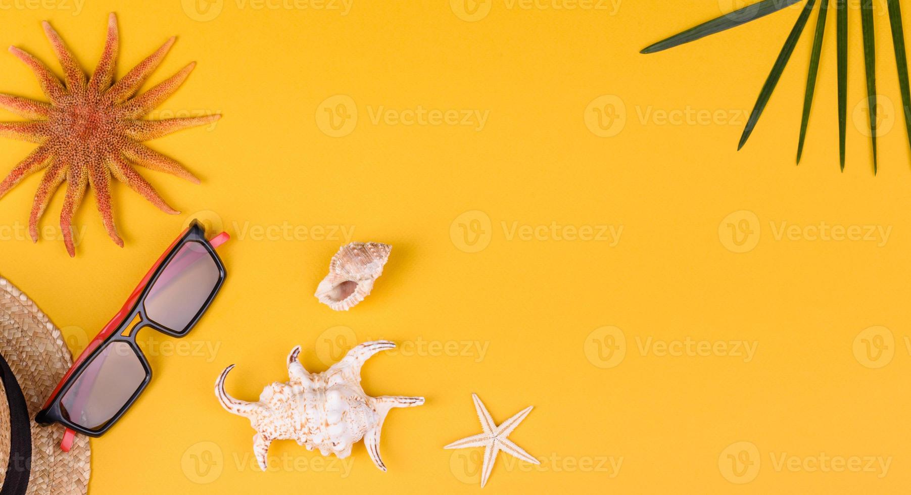 acessórios de praia com conchas e estrelas do mar em um fundo colorido foto