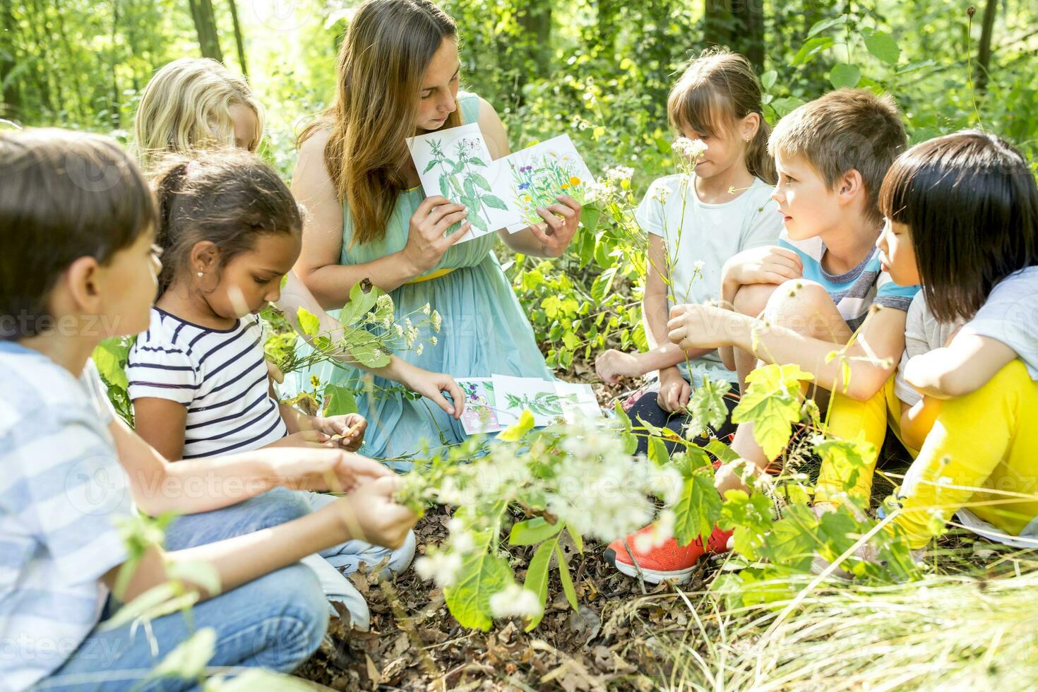 escola crianças Aprendendo para reconhecer plantas dentro natureza foto