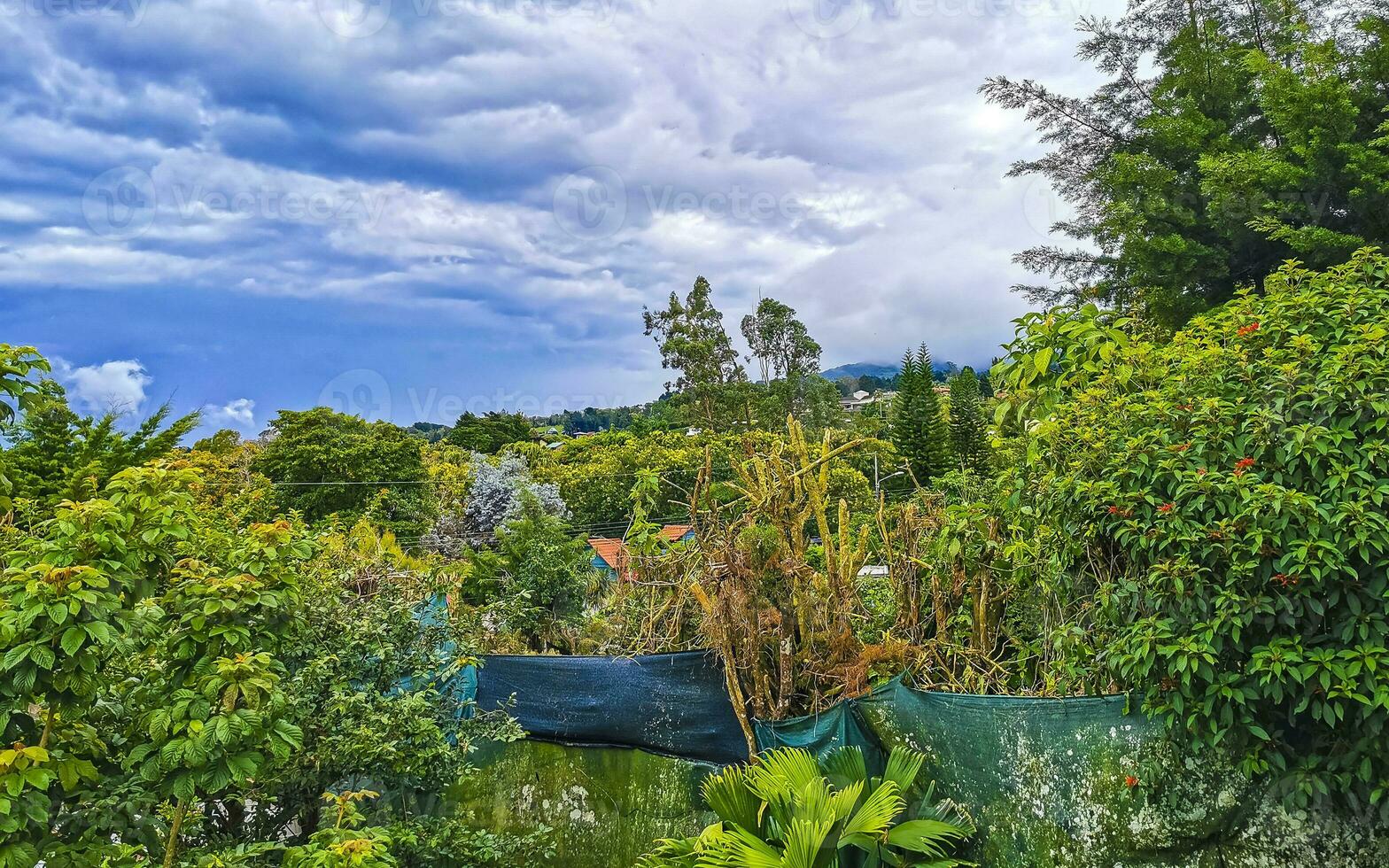 bela montanha paisagem cidade panorama floresta árvores natureza costa rica. foto