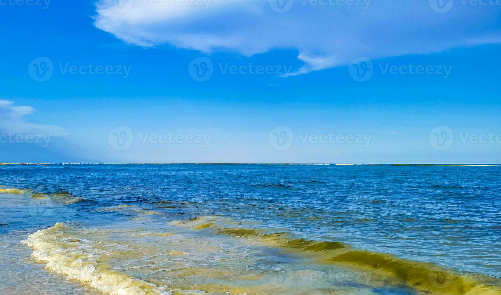 tropical mexicana praia águas turquesas playa del carmen mexico. foto