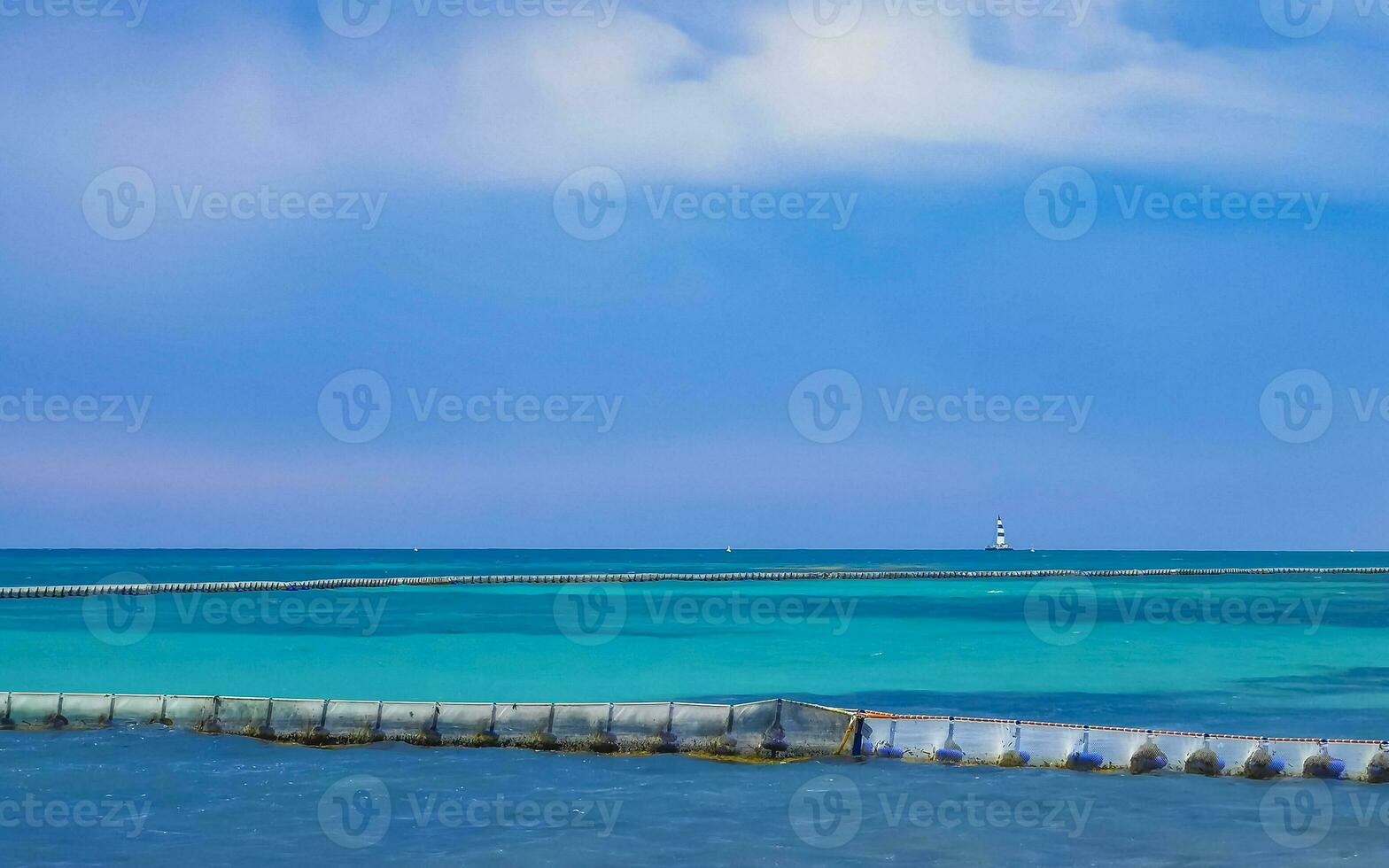 algas marinhas sargazo internet caribe de praia água playa del carmen México. foto