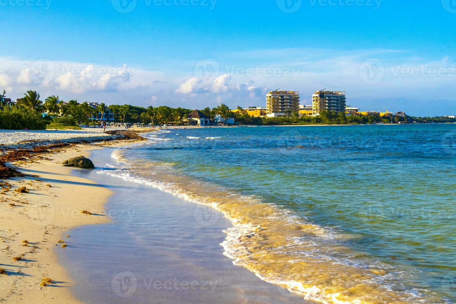 tropical mexicana praia águas turquesas playa del carmen mexico. foto