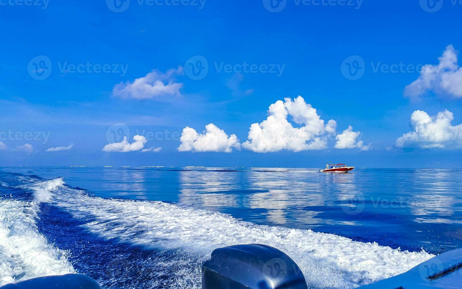 passeio de barco cancun méxico até a ilha mujeres contoy tubarão-baleia. foto