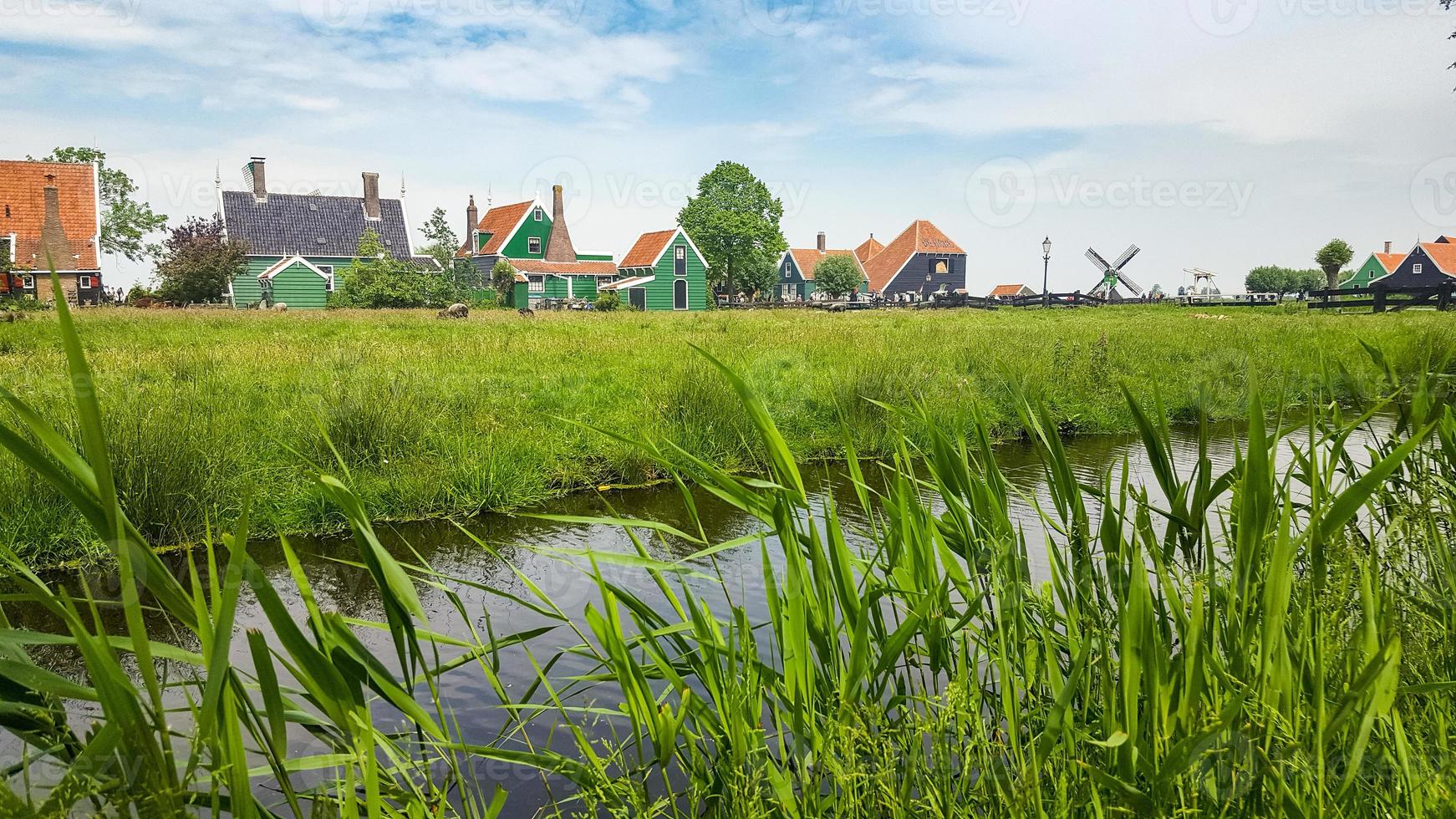 paisagem holandesa com casas e vegetação foto