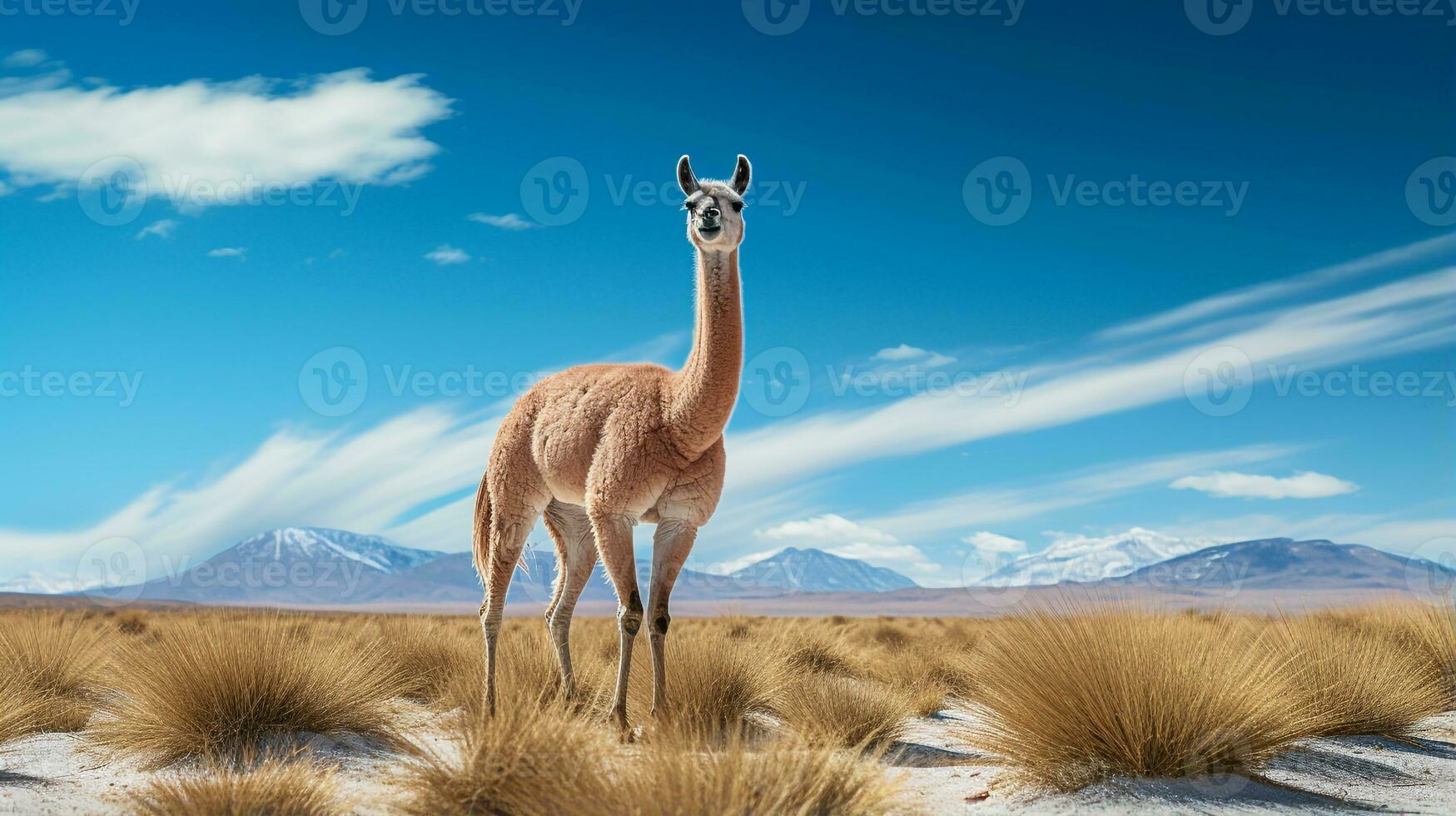 foto do uma vicuna debaixo azul céu. generativo ai