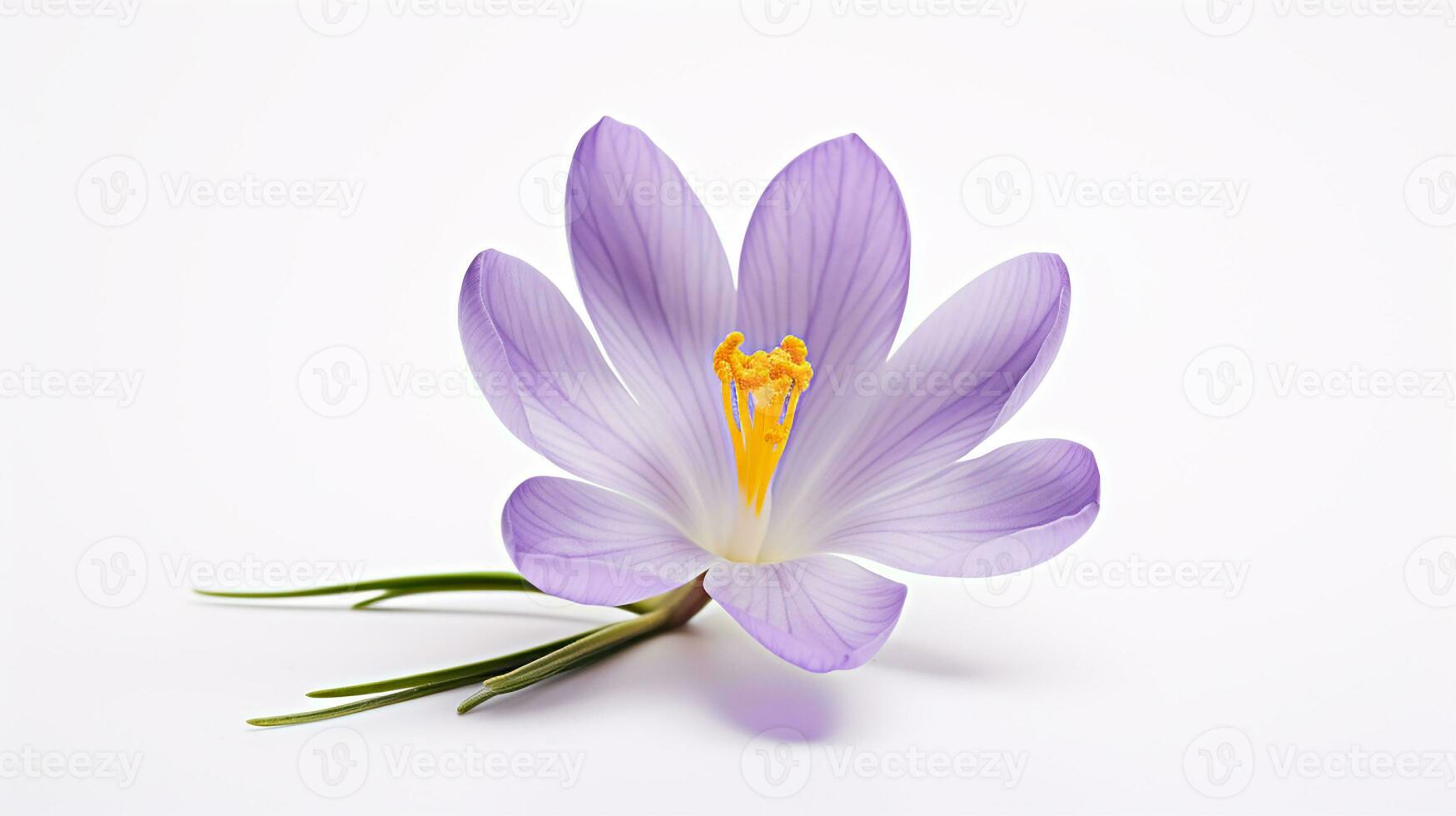 foto do lindo açafrão flor isolado em branco fundo. generativo ai