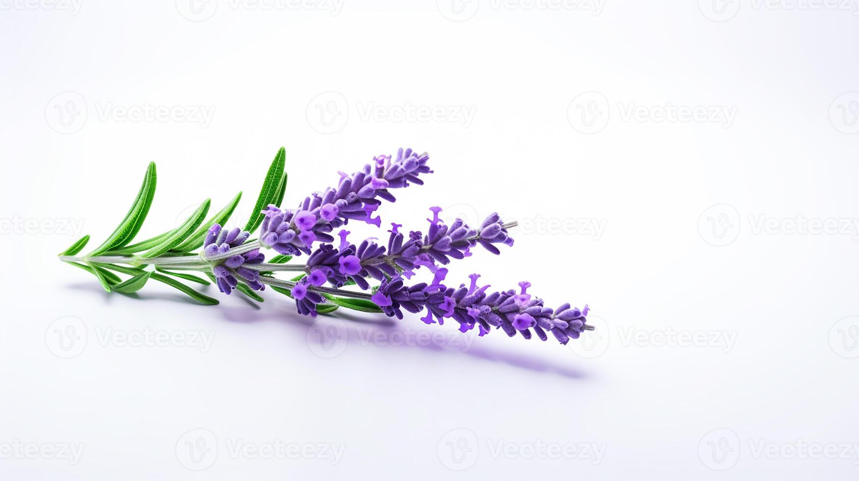 foto do lindo lavanda flor isolado em branco fundo. generativo ai