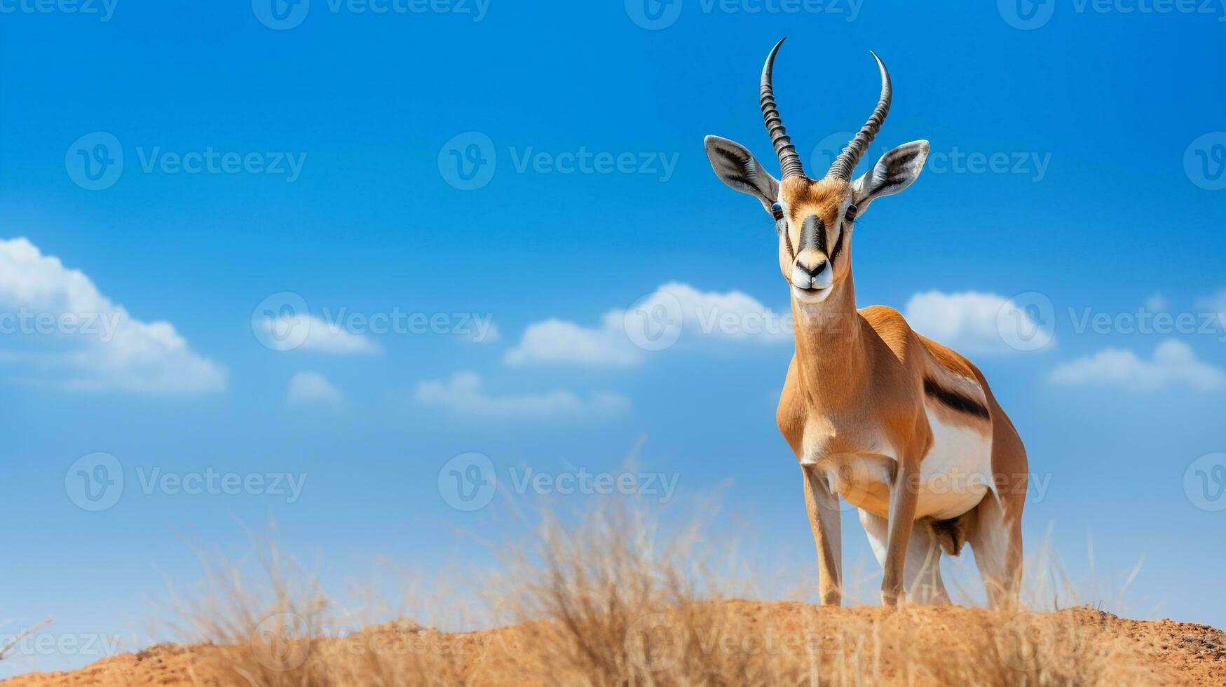 foto do uma gazela debaixo azul céu. generativo ai